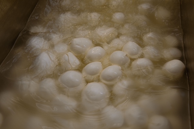 Produzione propria di mozzarelle di bufala a Frosinone