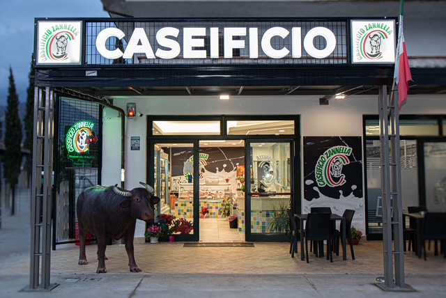 Produzione propria di mozzarelle di bufala a Frosinone