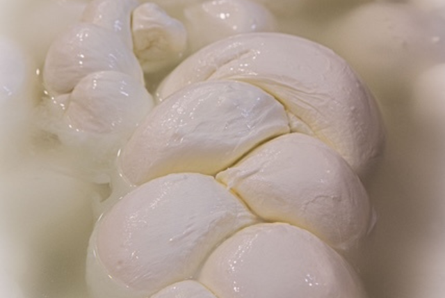 Progetto senza titolo